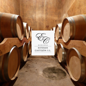 bodega-esteban-castejon-ibdes.png